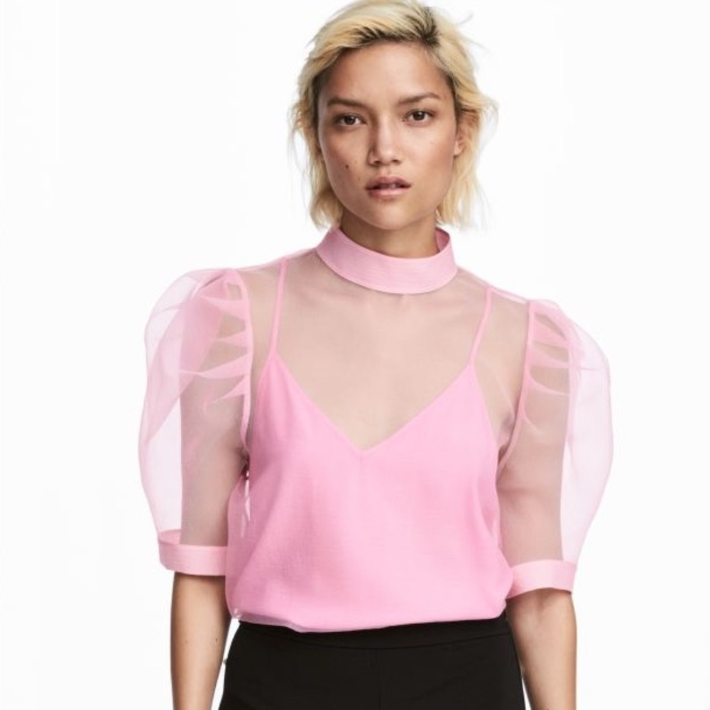 H&M Pink Sheer Top With Undershirt